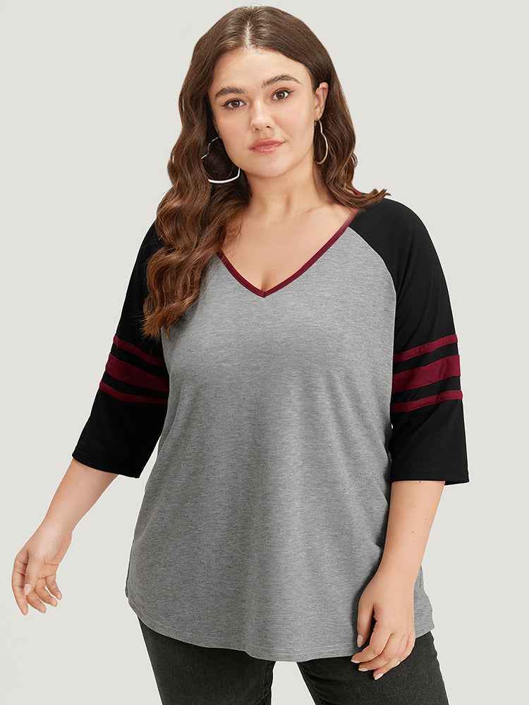 Colorblock Contrast Raglan Sleeve Contrast Trim T-shirt