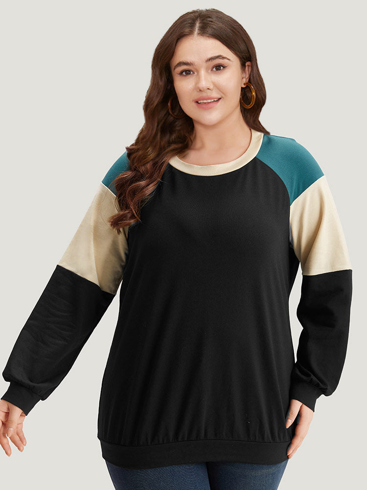 Colorblock Contrast Raglan Sleeve Sweatshirt