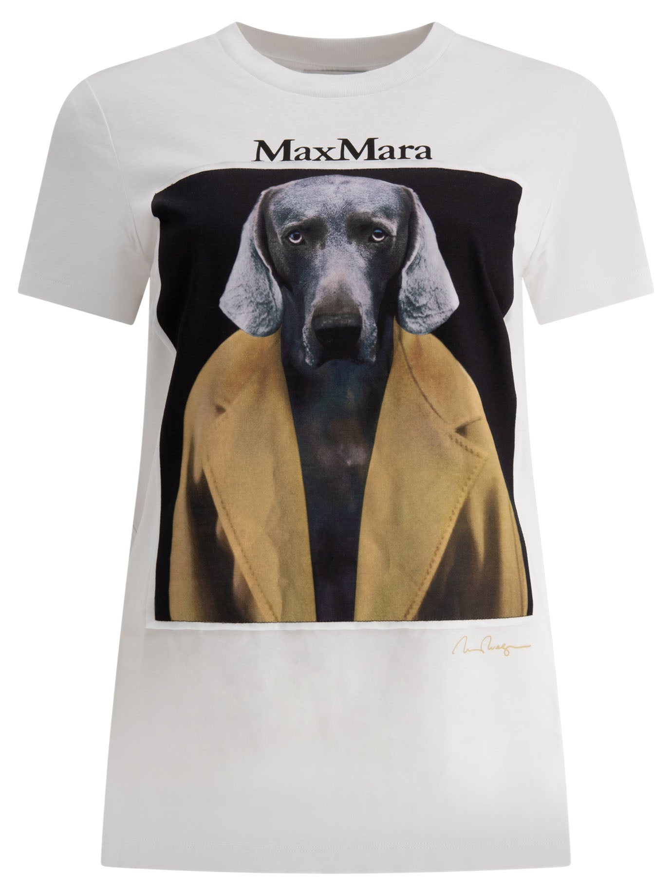 Max Mara-Printed Jersey T-Shirt T-Shirts Bianco-Donna